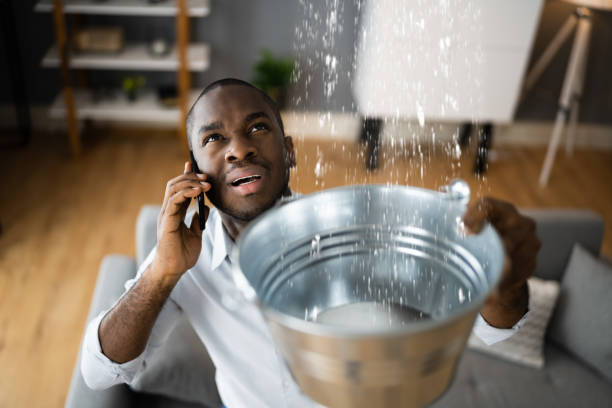 Best Water damage cleanup near me  in Gages Lake, IL