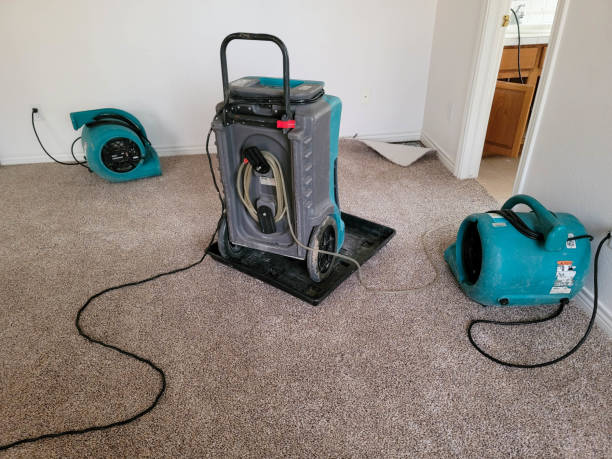 Best Water damage restoration specialists  in Gages Lake, IL
