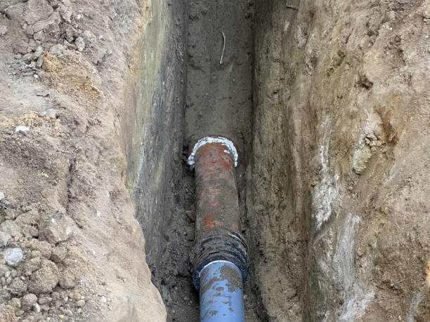 Carpet water damage restoration in Gages Lake, IL