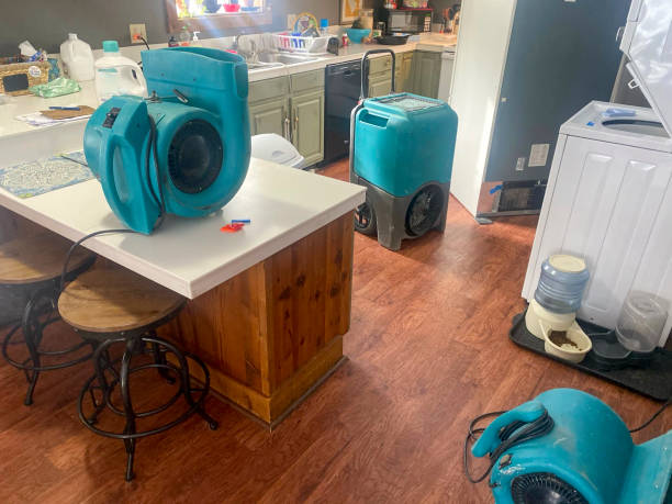 Best Flooded house restoration  in Gages Lake, IL