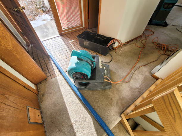 Water damage restoration insurance claims in Gages Lake, IL