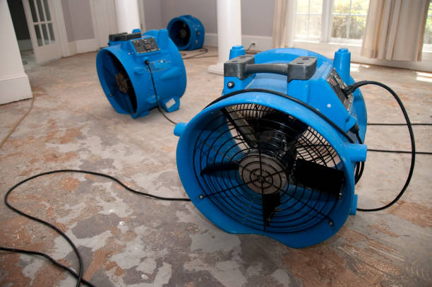 Best Water damage repair service  in Gages Lake, IL