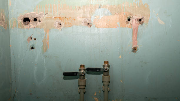 Reliable Gages Lake, IL Water damage restoration Solutions