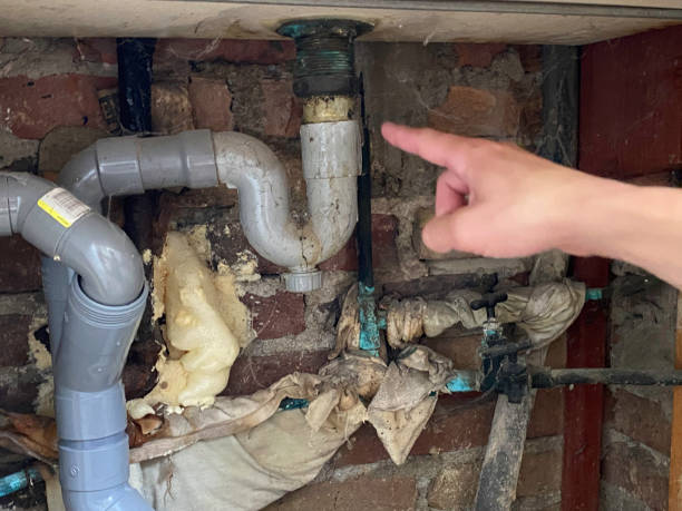 Best Basement water damage restoration  in Gages Lake, IL